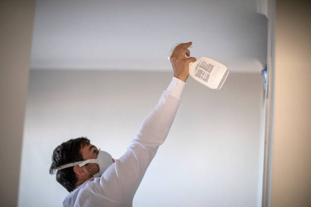 Best Mold Testing  in Hiram, OH