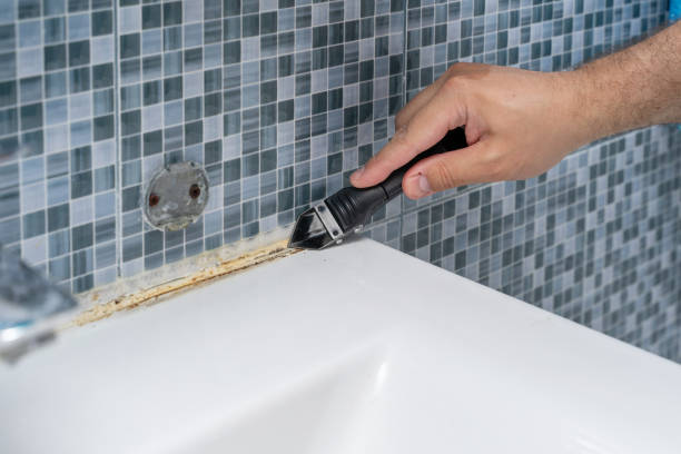 Best Mold Removal Company Near Me  in Hiram, OH