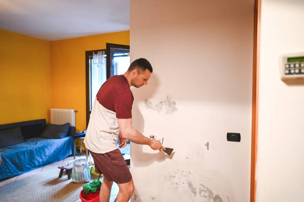 Best Mold Remediation  in Hiram, OH